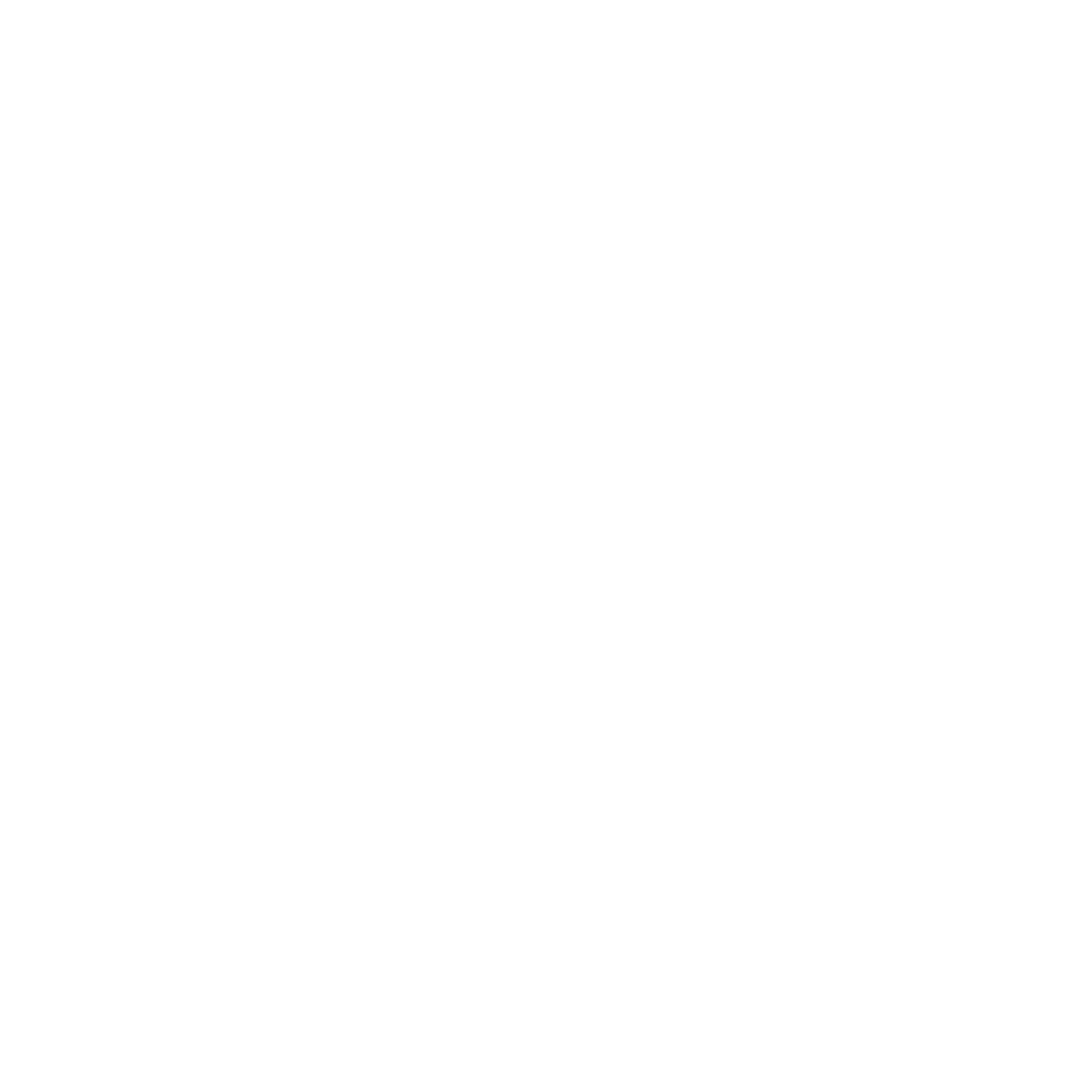 BOLT-Logo_white.png